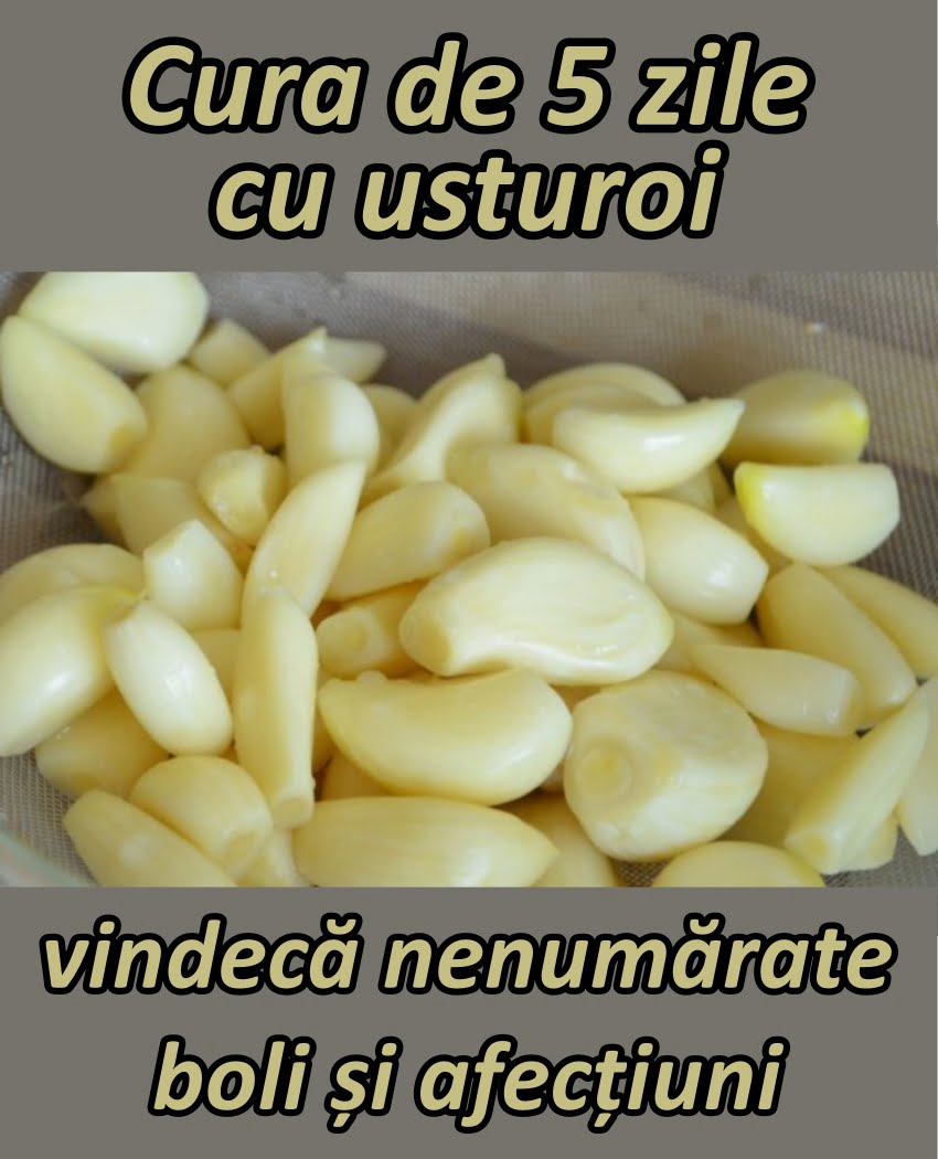 Cura de 5 zile cu usturoi – Un cățel de usturoi pe zi te poate vindeca de nenumărate boli și afecțiuni