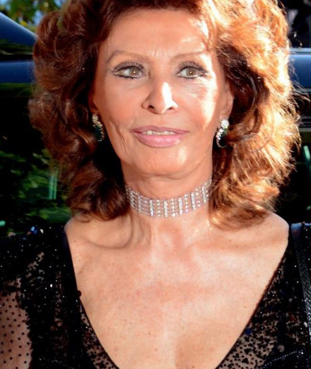 Sophia Loren împlinește 90 de ani: Ce surprize se pregătesc pentru marele eveniment din Roma.