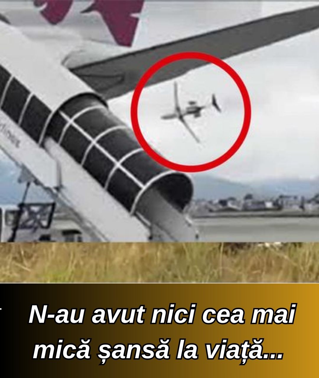 N-au avut nici cea mai mică șansă la viață