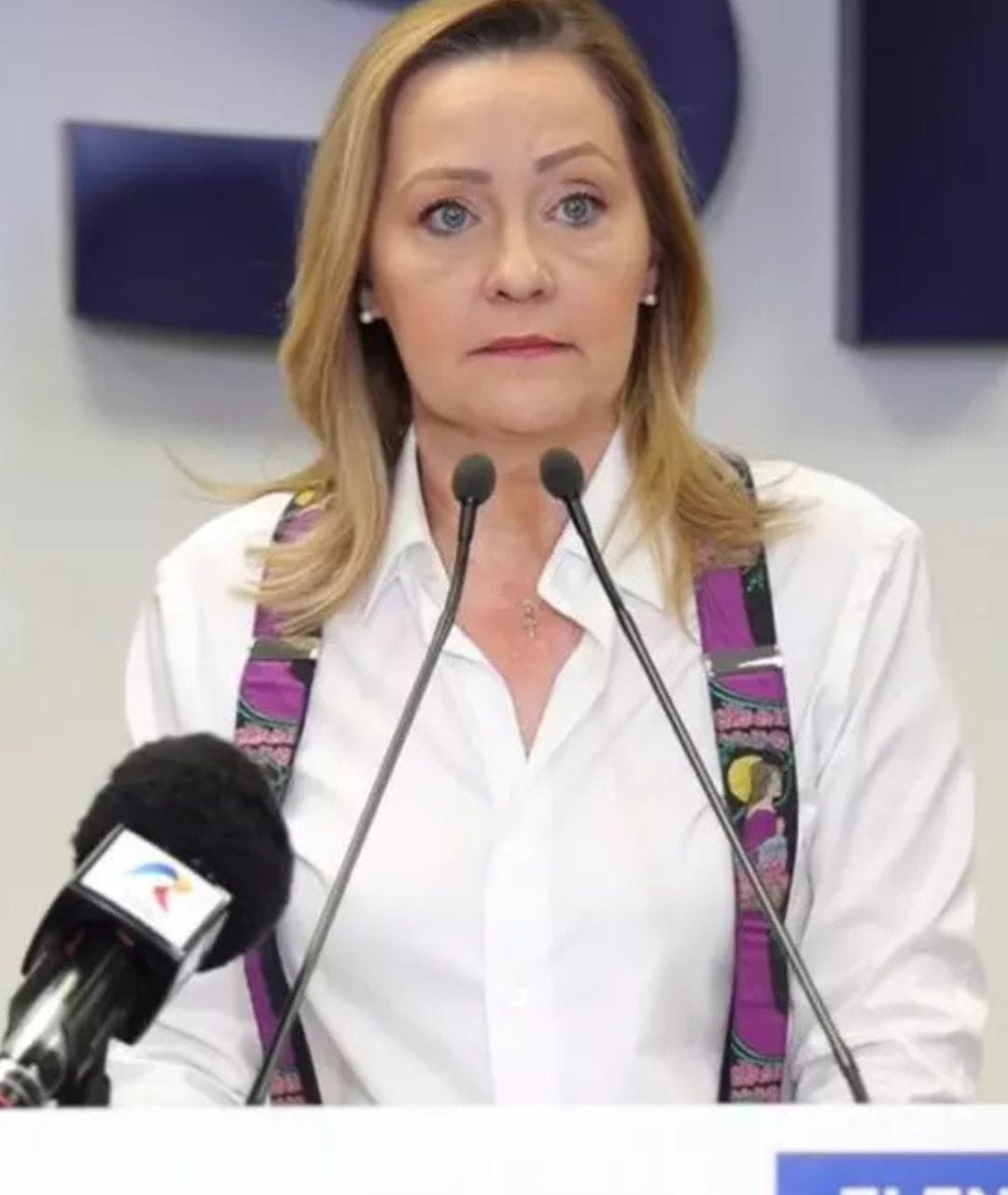 Ce le-a promis Elena Lasconi românilor, după ce CCR a cerut renumărarea voturilor de la alegeri