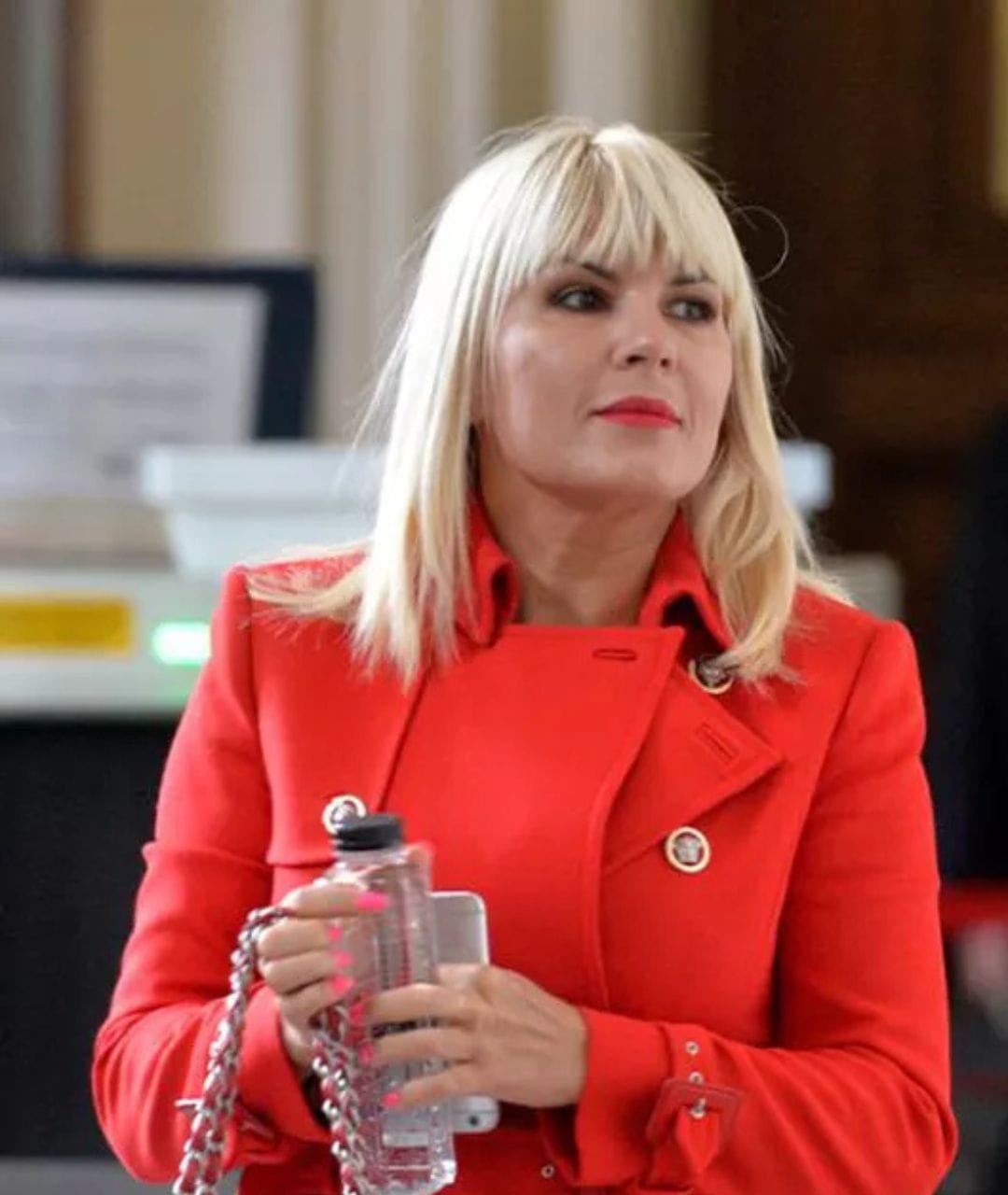 Vezi mai jos Ce spune Elena Udrea despre existența unui ”stat paralel” în politica românească: