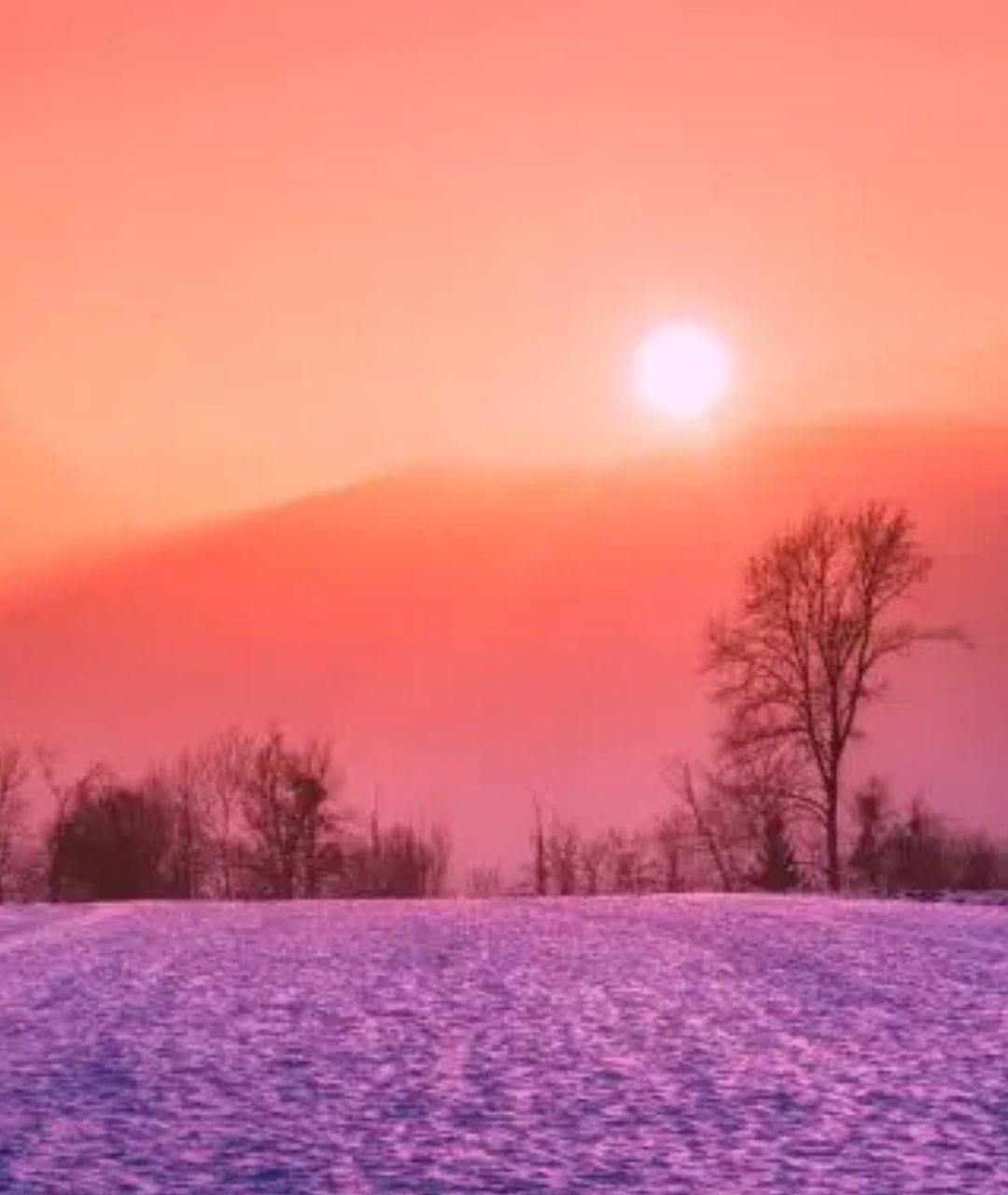 Iarnă neobișnuită în România. Temperaturi peste normal și ploi abundente.