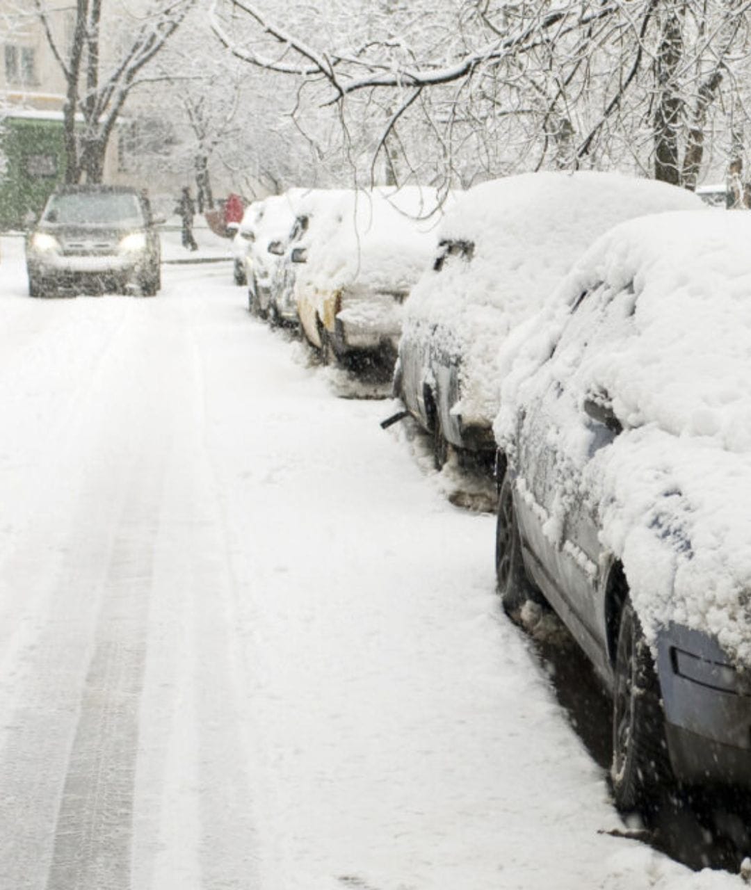 Zăpadă ca pe vremuri. Meteorologii anunță ninsori abundente. Când se transformă în alb România