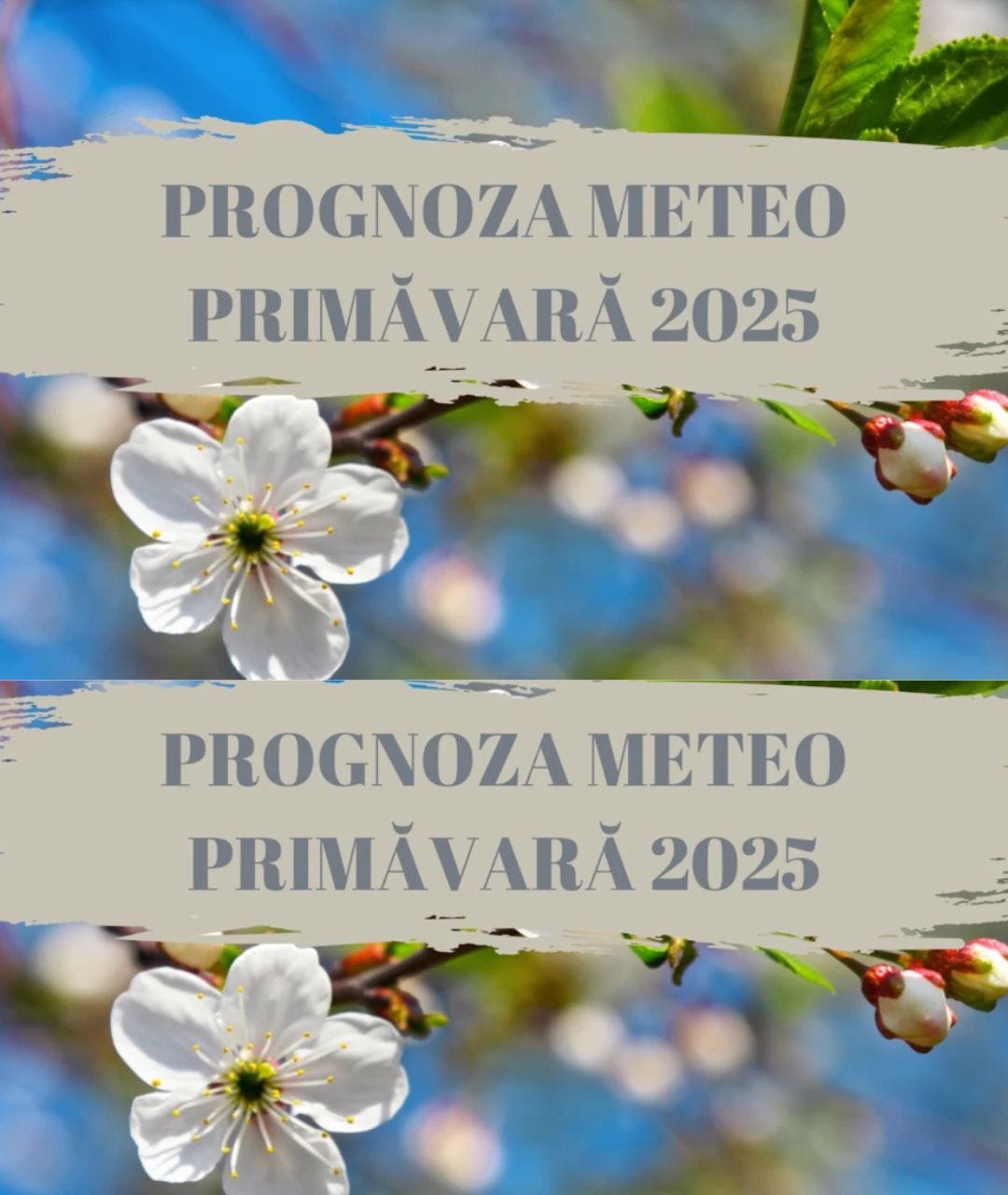 Vezi mai jos Când vine primăvara în România. Se schimbă vremea. Prognoza meteo pentru Martie