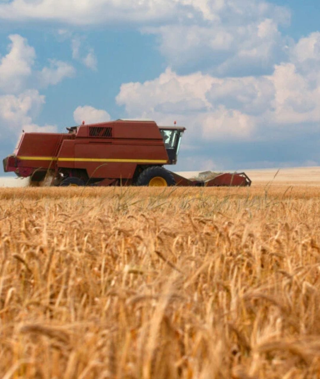 ANSVSA, Vezi mai jos decizia importantă pentru fermierii români. Este o schimbare esențială