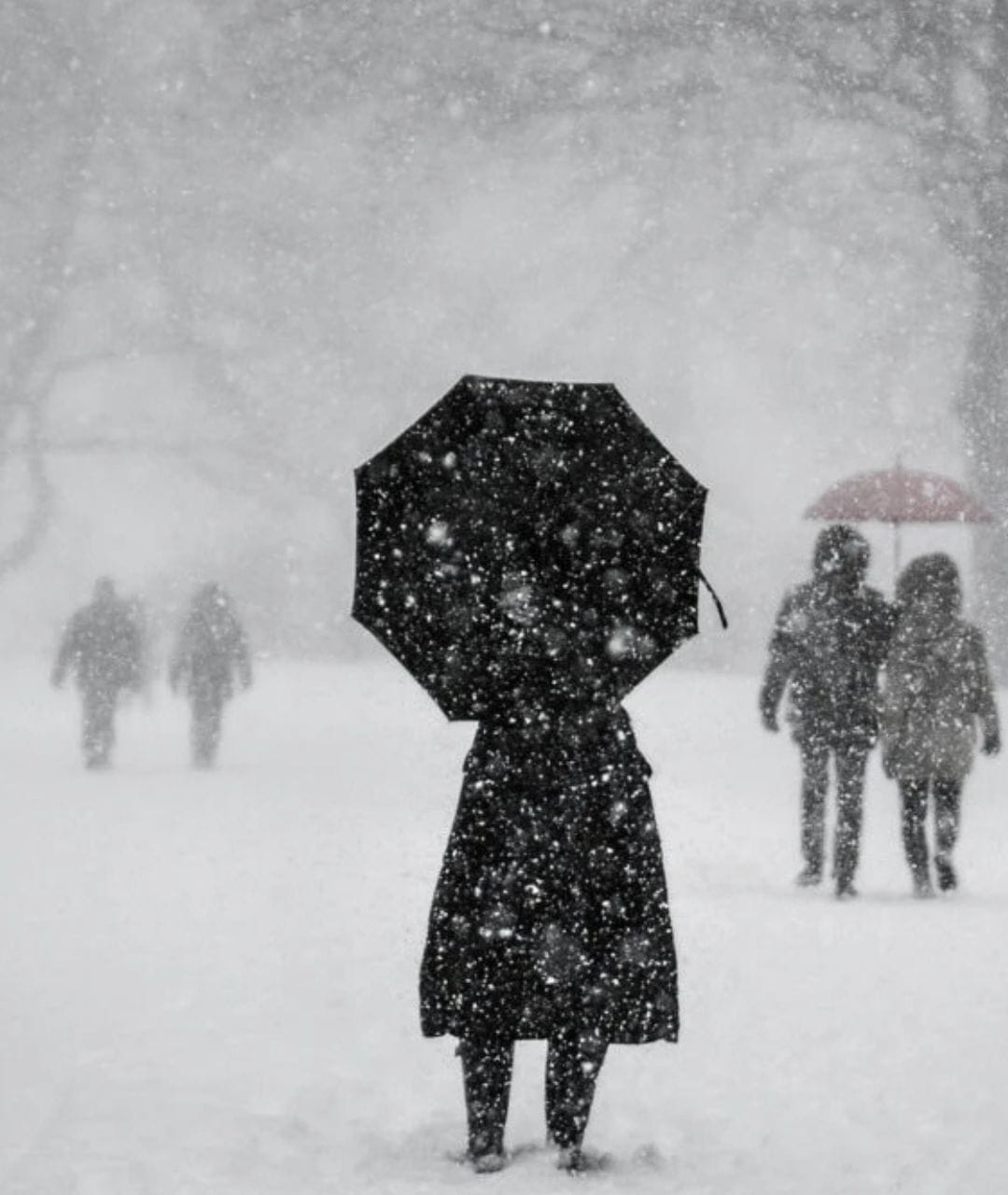 Vremea la extreme în România. Ne așteaptă zăpadă în aprilie. Vezi mai jos Prognoza meteo de actualizate