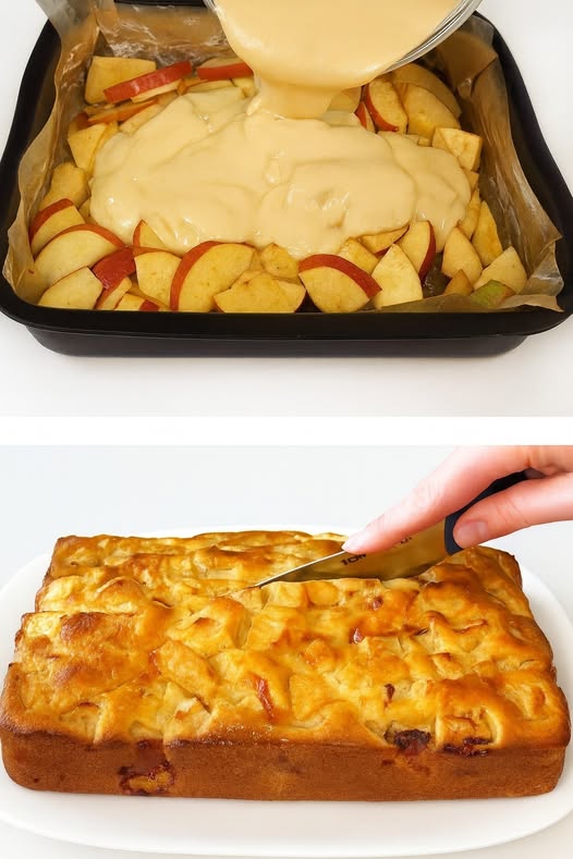 5 mere, 15 minute și ai un tort de mere pe masă: atât de moale încât se topește în gură. Mai bun decât celea cumparate si mai sanătos. Citește rețeta în primul comentariu.