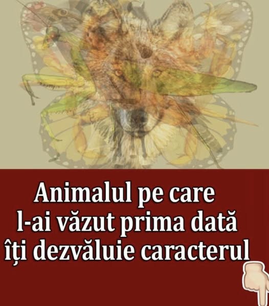 Primul animal pe care il recunosti in aceasta imagine iti va spune tot ce trebuie sa stii despre personalitatea ta