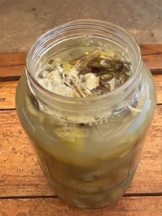 Câte luni rezistă murăturile în borcan, de fapt, până să facă floare