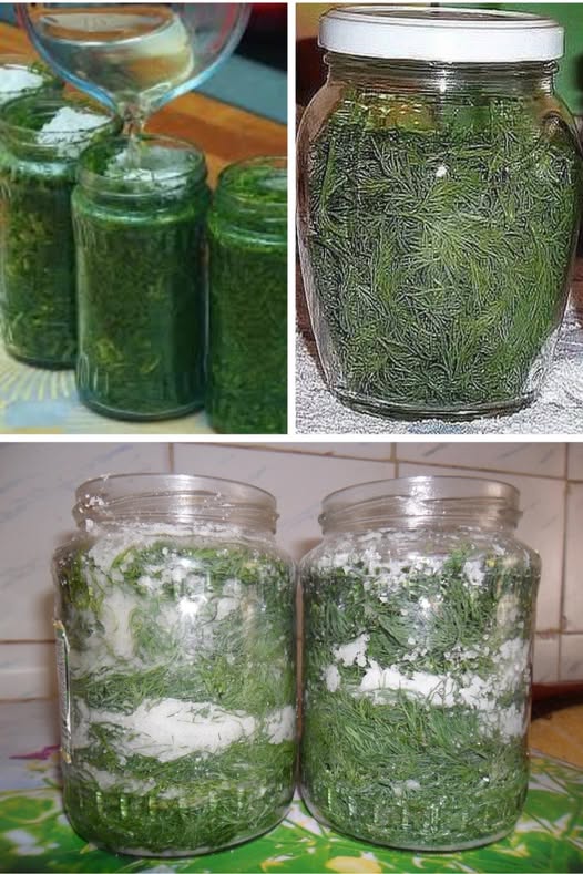 Uite așa se păstrează proaspăt mărarul, nu mai e nevoie de îngheț și rămâne proaspăt câteva luni la rând! Este cea mai bună metodă