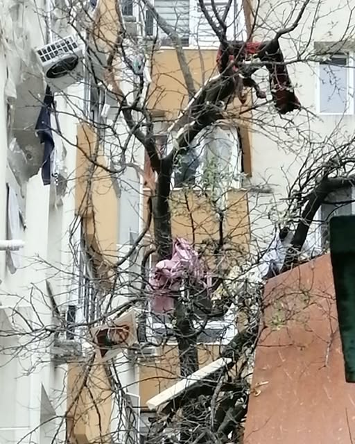 Ce a apărut într-un copac de lângă blocul groazei din Rahova? Trecătorii au fost uimiți: ”Doamne, ce a fost acolo?”