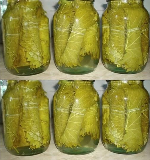 Frunze de vită de vie la borcan! Reteta luata din caietul bunicii