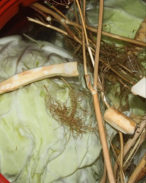 Secretul turcoaicelor pentru cea mai gustoasă varză murată. Ingredientul special care îi intensifică aroma și îi menține textura crocantă. vezi in comentarii .