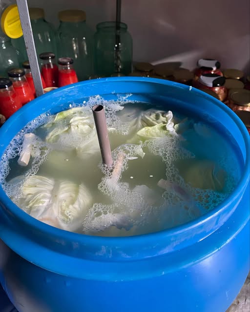 Greșeala pe care o fac multe gospodine când pun varza la murat – și cum să o eviți. vezi in comentarii