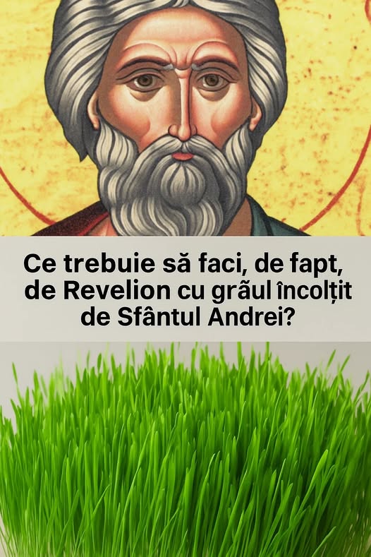 Ce trebuie să faci, de fapt, de Revelion cu grâul încolțit de Sfântul Andrei