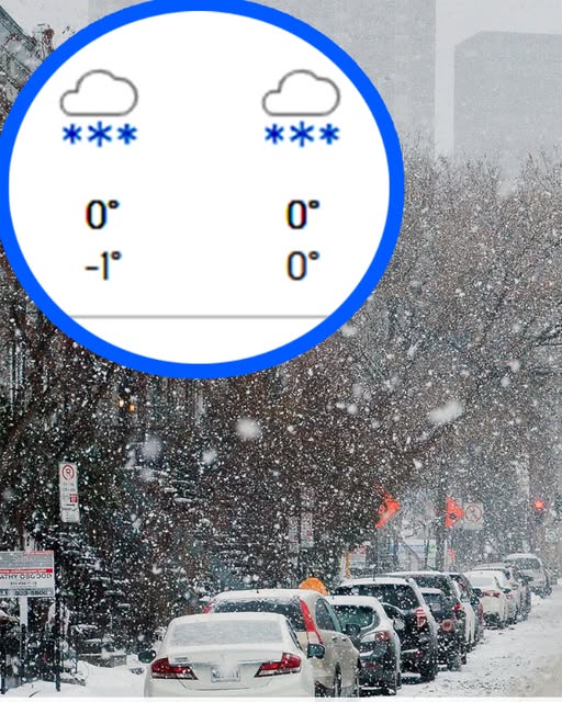 Pe ce dată vin ninsorile în București. Meteorologii Accuweather au schimbat complet prognoza inițială. vezi mai jos