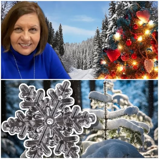 Vreme de primăvară de Crăciun şi Revelion. Temperaturi de -20 de grade C la polul frigului din România