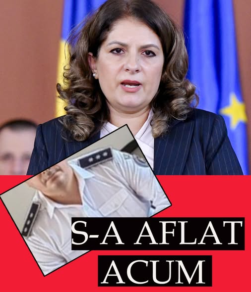 Cine este fratele Lianei Arsenie, șefa Curții de Apel București. Conduce o structură importantă din România