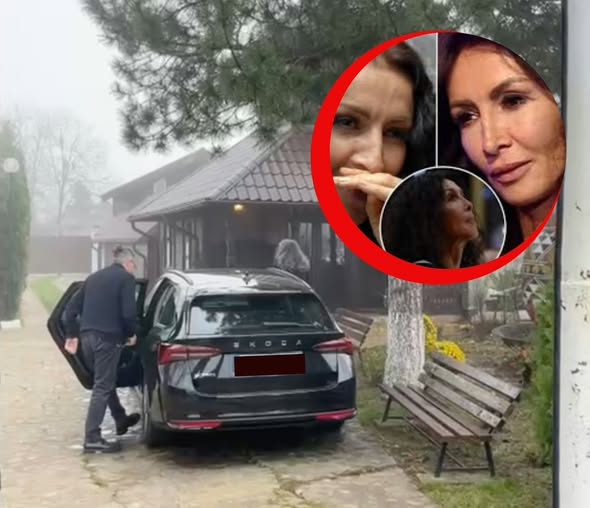 Cum arată fratele Mihaelei Rădulescu? El s-a ocupat de tot ce înseamnă înmormântare, până să aterizeze vedeta Pro TV