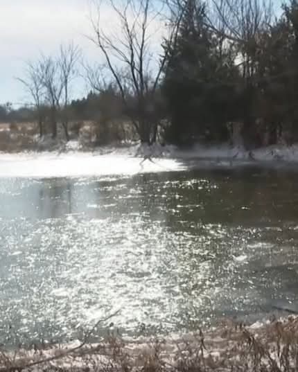 Trei frați de 6, 8 și 9 ani au murit sub ochii mamei lor după ce au căzut într-un lac în…