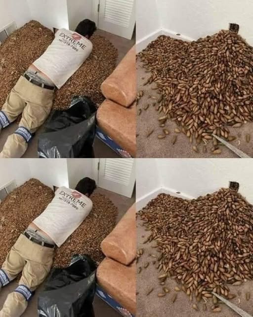 Un bărbat a simțit un miros puternic în casă, iar când a aflat de unde venea și a spart peretele, a găsit ceva ce l-a lăsat fără cuvinte