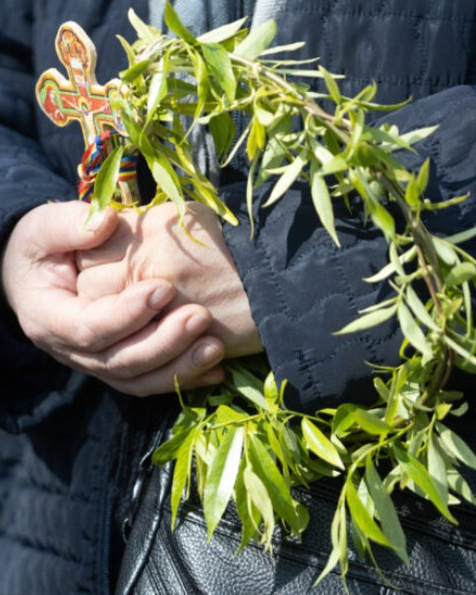 Salcia sfinศitฤ de Florii, simbol al norocului ศi protecศiei รฎn casฤ. Unde este bine sฤ o pฤstrezi… Vezi in comentarii