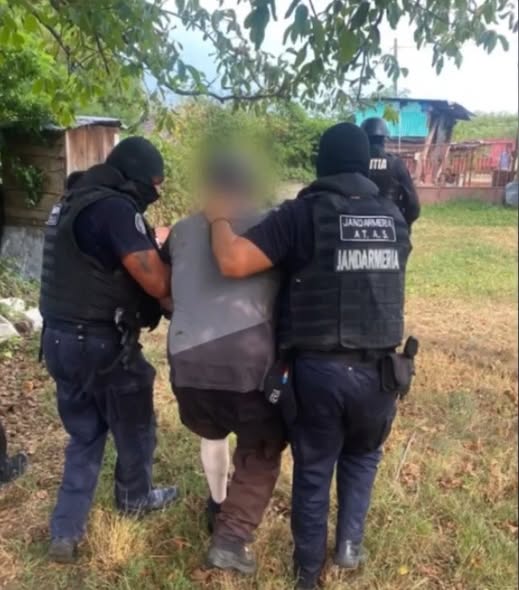 E OFICIAL! L-au găsit în podul casei în… Vezi mai mult