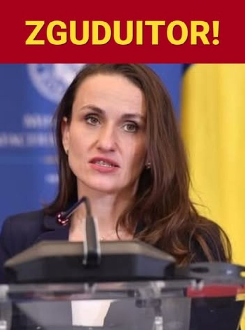 Anunțul la care nu se aștepta nimeni. Oana Țoiu: Teritoriul revine României