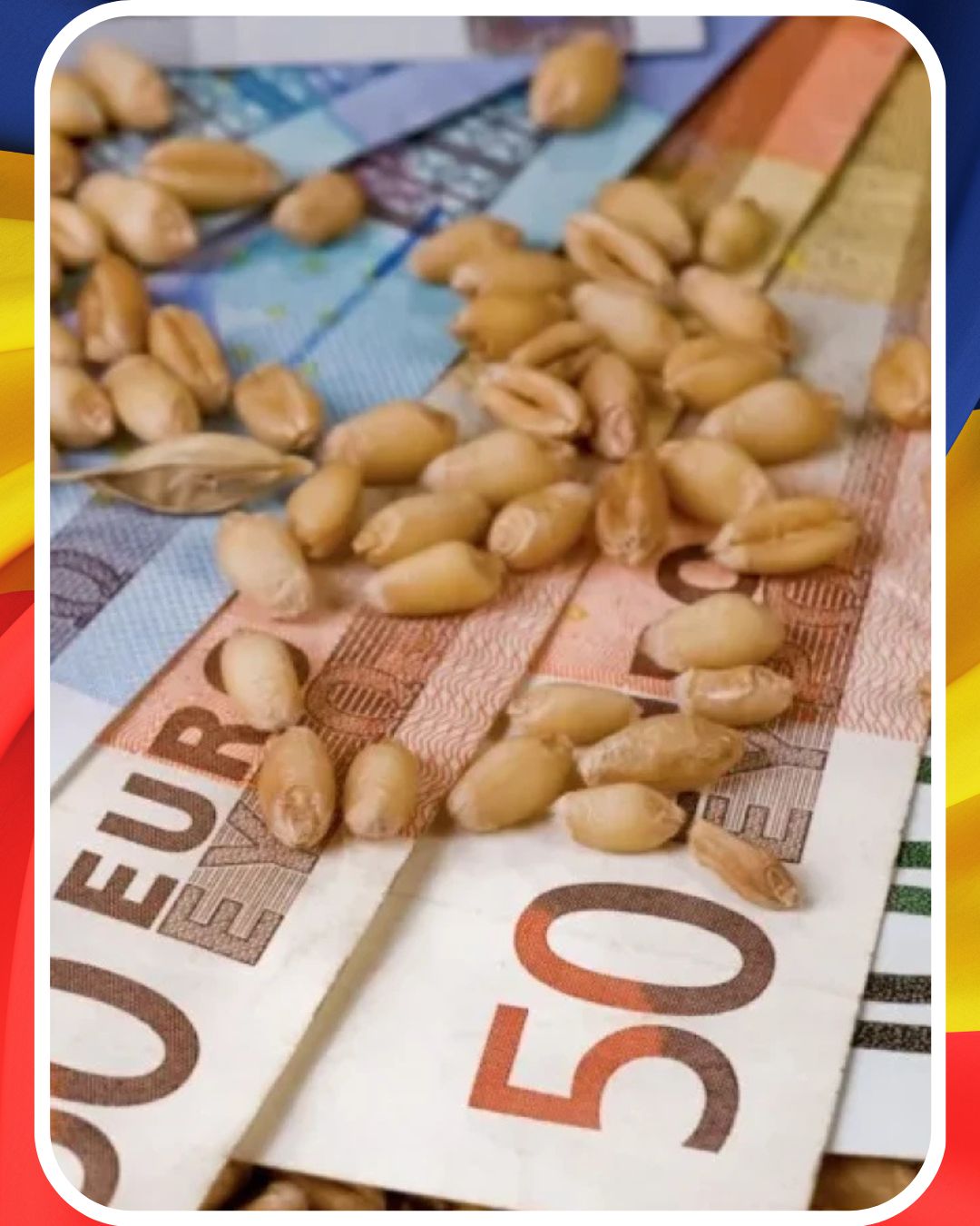 Pâinea s-ar putea scumpi din nou! Seceta și criza din Marea Neagră împing prețul grâului la un nivel alarmant
