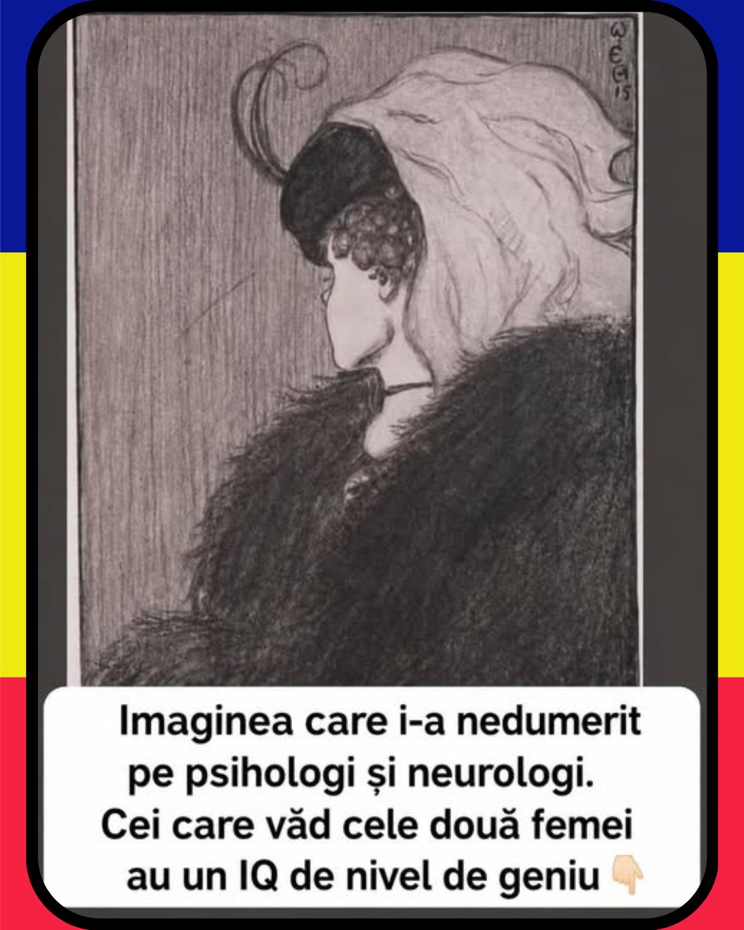 O imagine care a stârnit curiozitatea psihologilor și neurologilor. Se spune că cei care reușesc să observe cele două femei ar avea un IQ de nivel genial.