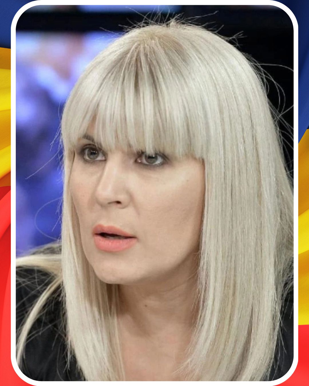 Elena Udrea: Bruxelles a descoperit că vaca, porcul și găina sunt infrastructură de securitate. Ferească Dumnezeu cu