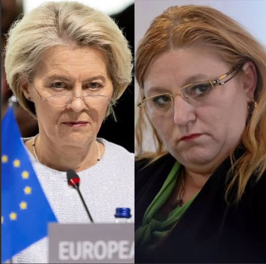 ORDIN de la Uniunea Europeană! Diana Șoșoacă trebuie să… Vezi mai mult